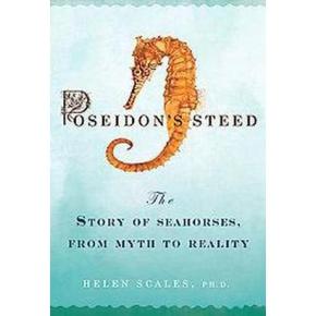 A Most Improbable Creature&nbsp;Examined