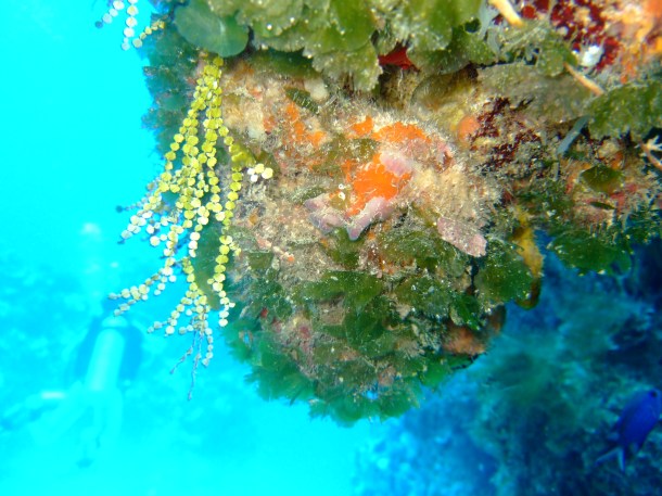 Photo credit: Verena Schoepf 