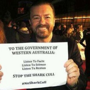 Shark cull in Western Australia: When policy laughs in the face of&nbsp;logic