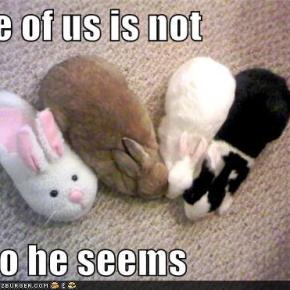 Paradigm Shifts in academic publishing: Is how we write a&nbsp;problem?