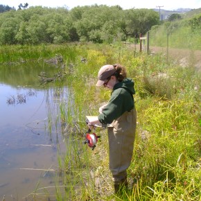 AmeriCorps for Environmental&nbsp;Scientists