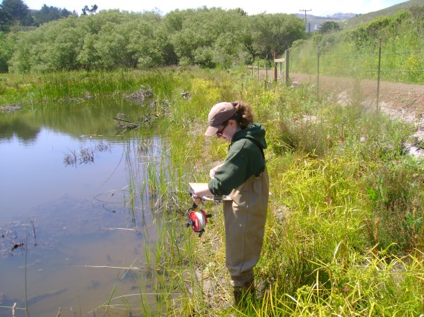 Would you believe this frog pond was only one year old? Restoration is amazing!