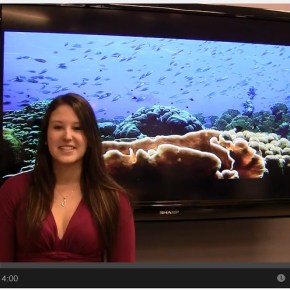 Film Friday: The Lionfish Invasion in Four&nbsp;Minutes