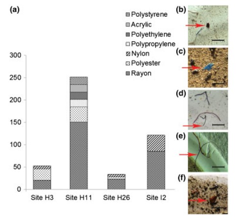The abundance of microplastics in each core, broken down by category.  The photos on the right are examples of various synthetic fragments found in the cores.  Image from Obbard et al. 2014.
