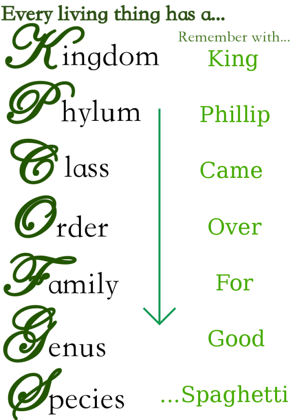 So much to classify, so little time...