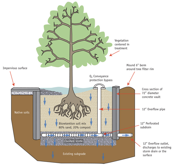 A cross-section of a tree box, the star of today's Photography Friday! Read on to learn what this Best Management Practice means to your favorite ocean. Image from http://ciceet.unh.edu/unh_stormwater_report_2007/treatments/tree_box/design.php.