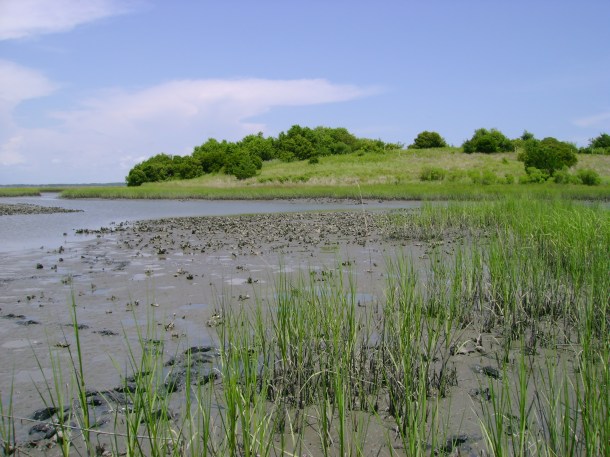 Photo by Kathleen Onorevole.