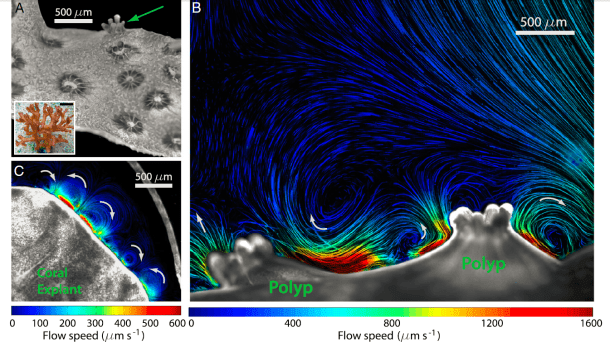 Shapiro et al (2014). PNAS