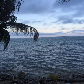 Coral research in Belize, a cultural melting pot. Field Season&nbsp;2014
