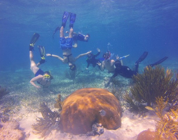 The research team above a Siderastrea siderea colony. One of our target species. (Credit: Joe Townsend)