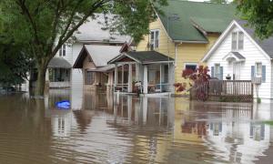 Image from: www.worldwildlife.org