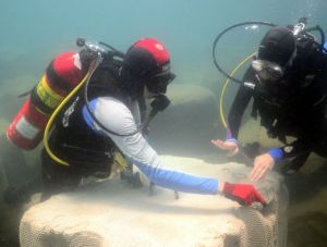 Checking out an ECOncrete block located in a harbor. Image from http://www.econcretetech.com/products/products.