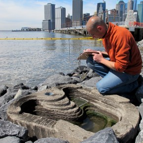 6 Tips for Launching an Environmental&nbsp;Start-Up