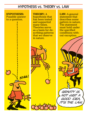 (mentone-educational.com.au)