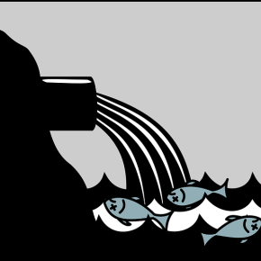 What would happen if the ocean “died?”