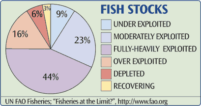 Global Fish Stocks (theglobaleducationproject.org)