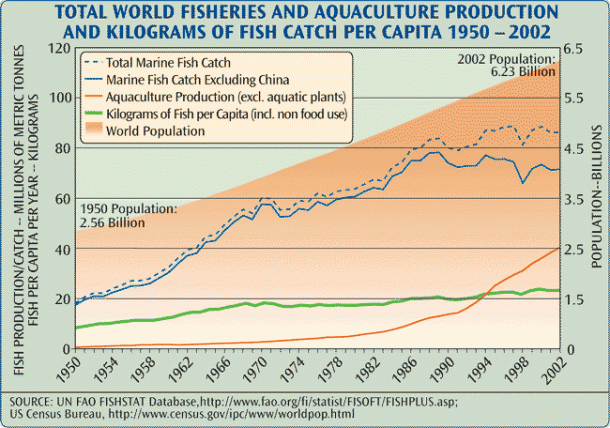 global fish catch (theglobaleducationproject.org)