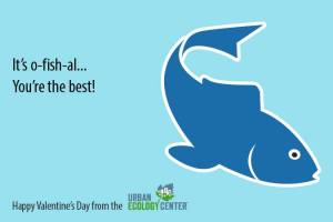 Even a marine science Valentine!  Thanks Outdoor Ecology Center
