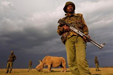 Armed guard, Ol Pejeta Conservancy