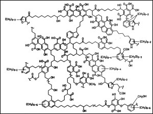 Looks yummy, yes?  An example of the complexity (and large size) of DOC.  From here.