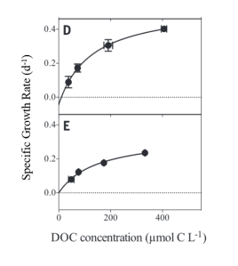 Look!  They are actually eating the DOC, but only at higher concentrations (Arrieta et al., 2015).