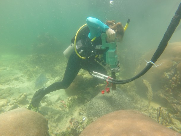 This is Colleen. Colleen is 5 feet tall. She's also the newest PhD student in our lab and kind of a boss.  