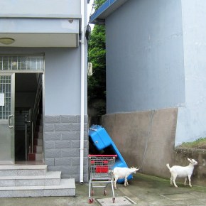 The Rise of&nbsp;CyanoHABs