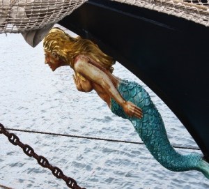 Image from https://upload.wikimedia.org/wikipedia/commons/e/e2/Thalassa%2C_Belfast%2C_June_2010_%2804%29.JPG