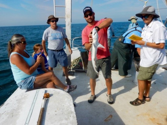 First shark of the day – an Atlantic Sharpnose! Photo by Kelsey Barnhill.