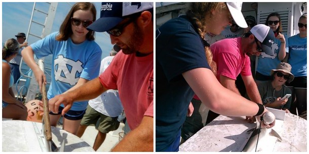 Then the shark gets its tag put in, us students were given a chance to learn how to do this. Left photo by Denene Blackwood, right photo by Larisa Bennett.