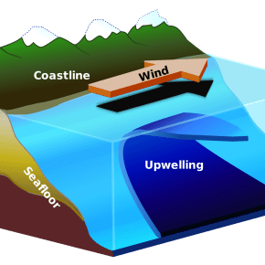 Visualizing Upwelling