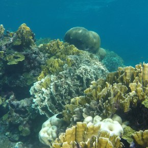 Why are you a&nbsp;scientist?