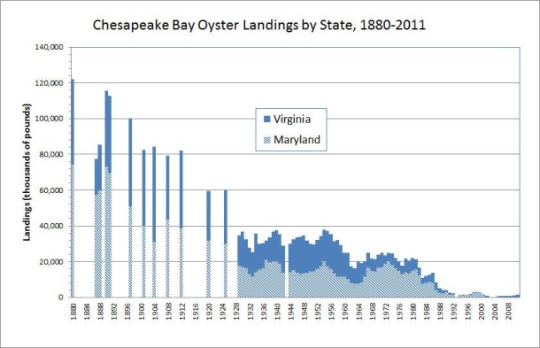 oyster graph.jpg