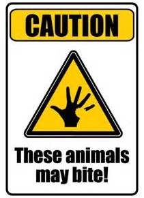 The Marine Venomous Animal Top&nbsp;10