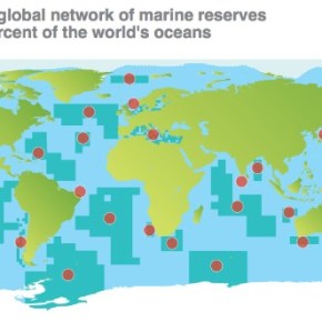 The Rise of Marine Parks: Will it be&nbsp;Enough?