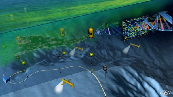 Ecogenomic Sensor (Credit: Armbrust Lab, UW)