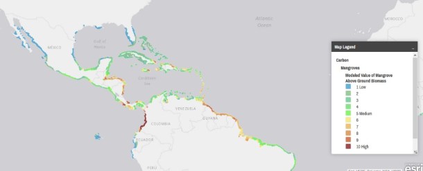 A map of above-ground mangrove biomass for the Caribbean. This parameter falls under blue carbon considerations in the MOW. Based on this map, a manager would know to prioritize red zones with higher biomass.