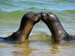 Love UNder the&nbsp;C?