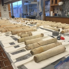 Lab Life- Winter&nbsp;Edition