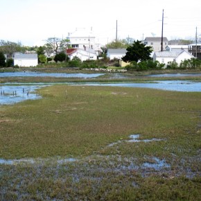 Springtime in the&nbsp;Estuary!
