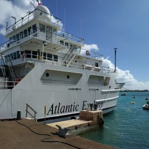 Field Photos: Bermuda&nbsp;Cruise