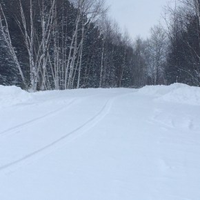 Its beginning to look a lot like&nbsp;meromixis