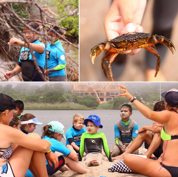 educating our surf campers.png