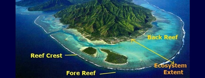 Understanding Reefs part 1: Why reefs matter no matter where you live ...