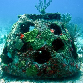 Understanding reefs part 2: Artificial reefs and reef&nbsp;restoration