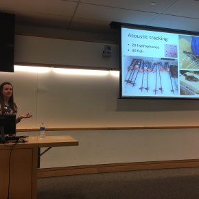 Symposium Season – CEE&nbsp;edition