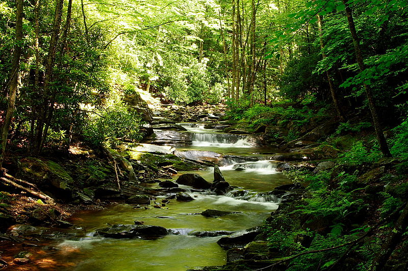 From ocean acidification to freshwater alkalinization | UNder the C
